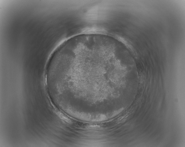 X0000072511462200607290120