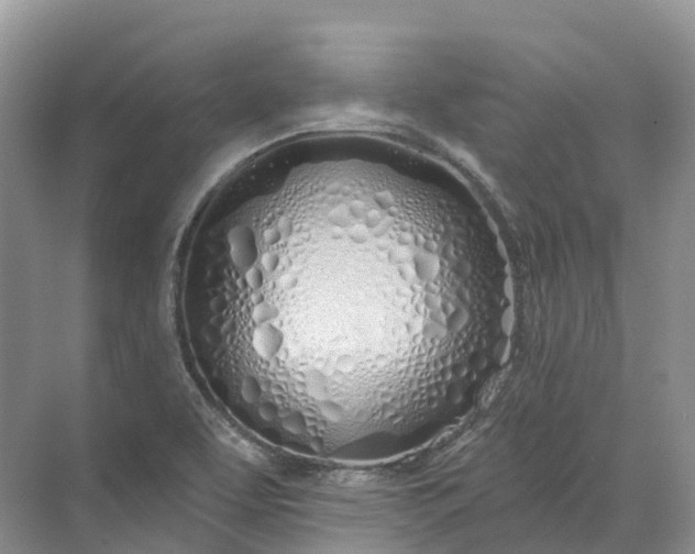 X0000072511463200607290120