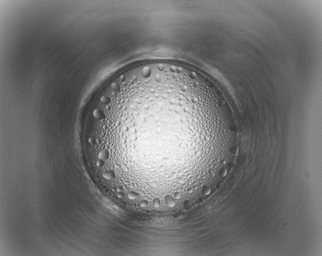 X0000072511464200607290120