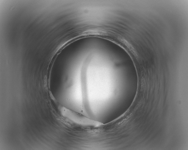 X0000072511465200607290120