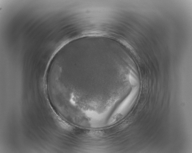 X0000072511466200607290120