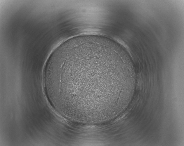 X0000072511467200607290120