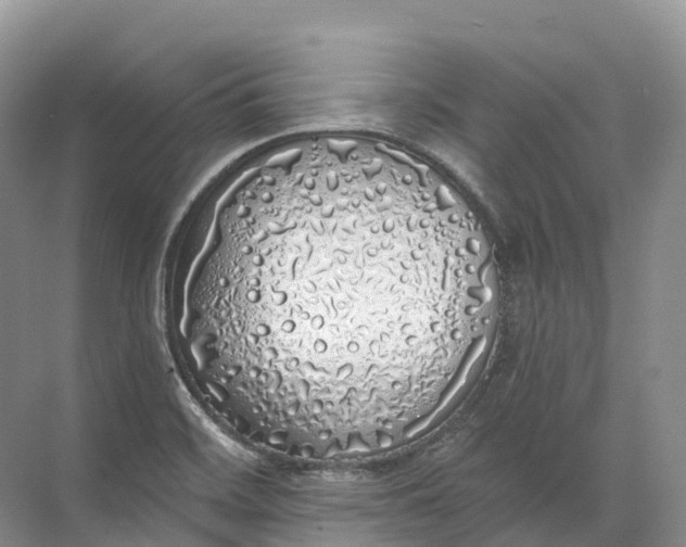 X0000072511468200607290119