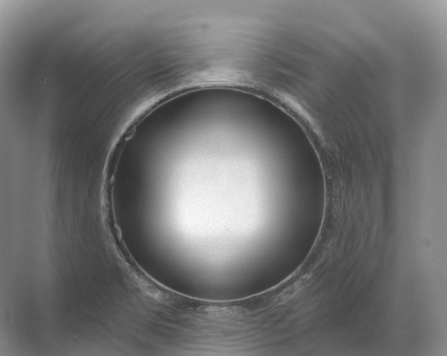 X0000072511469200607290119