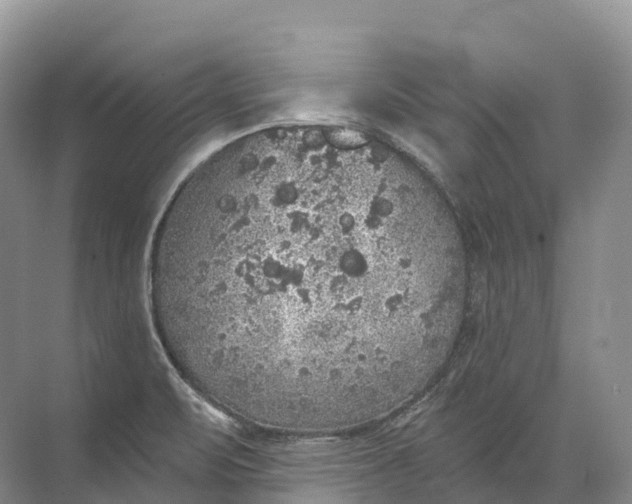 X0000072511471200607290119