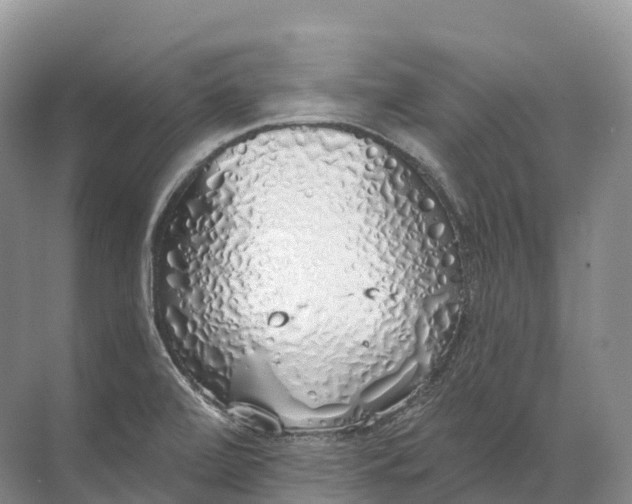 X0000072511472200607290119