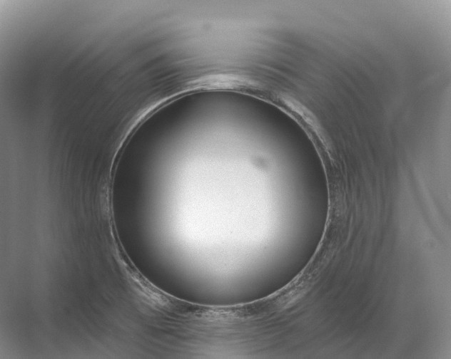 X0000072511473200607290119