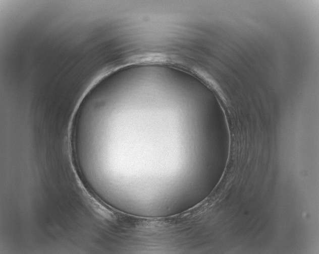 X0000072511475200607290119