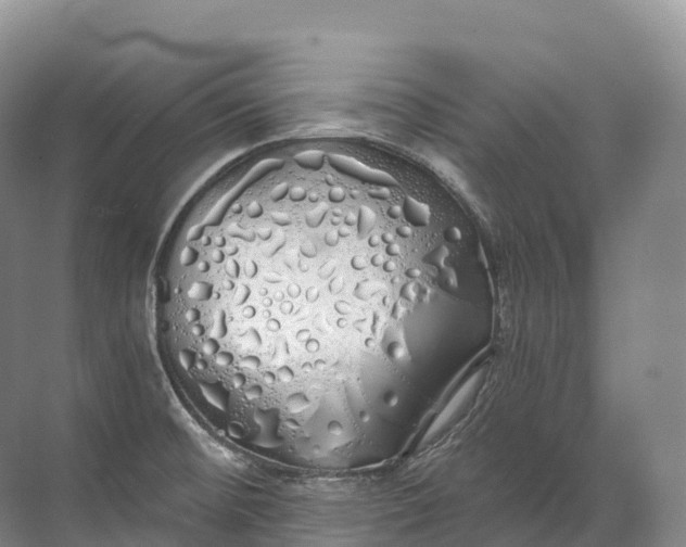 X0000072511476200607290119