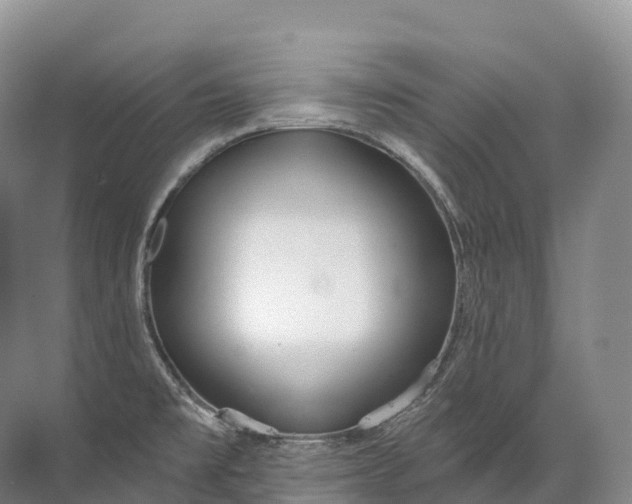 X0000072511477200607290119