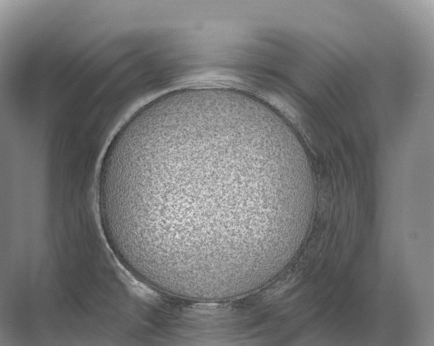 X0000072511478200607290119