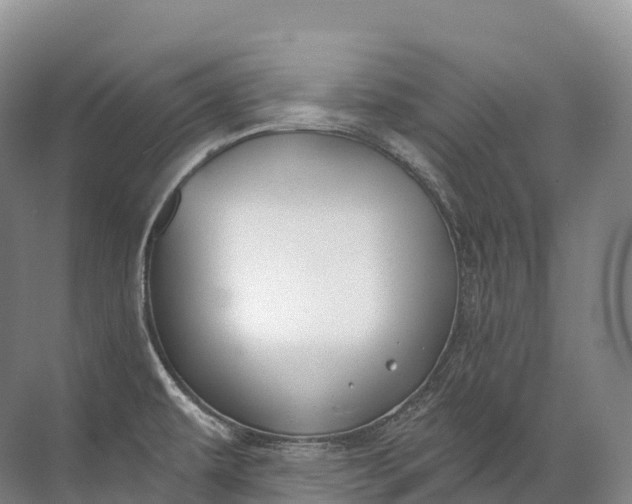 X0000072511479200607290119