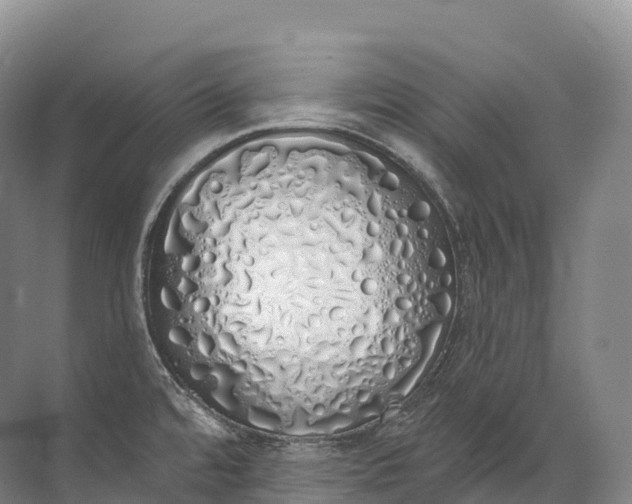 X0000072511480200607290119