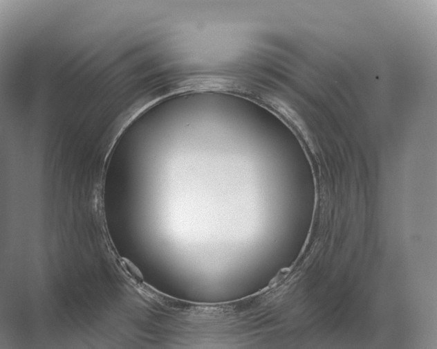 X0000072511481200607290119