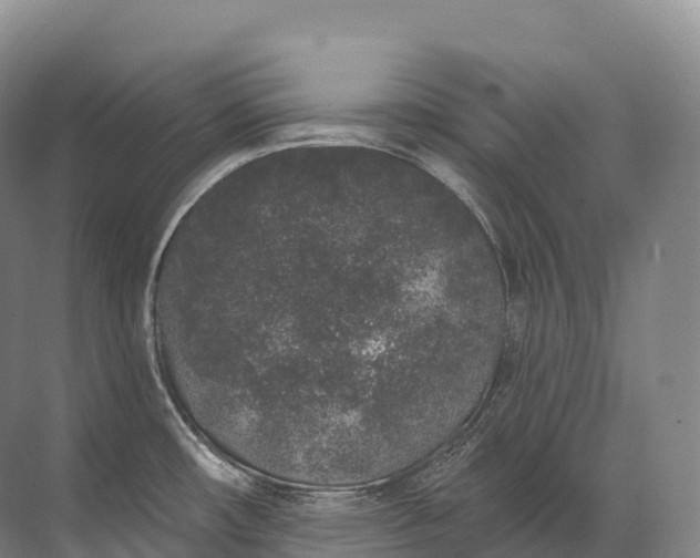 X0000072511482200607290119