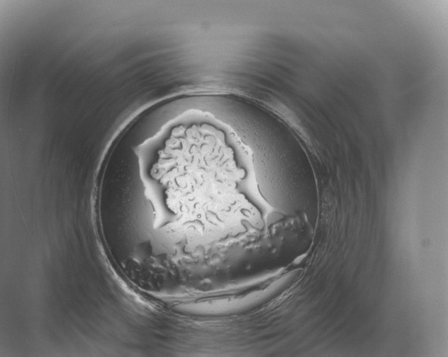 X0000072511484200607290119