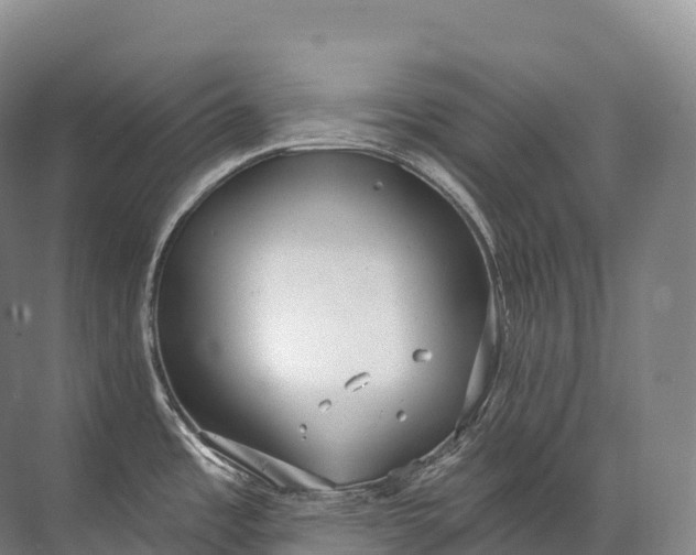 X0000072511485200607290119