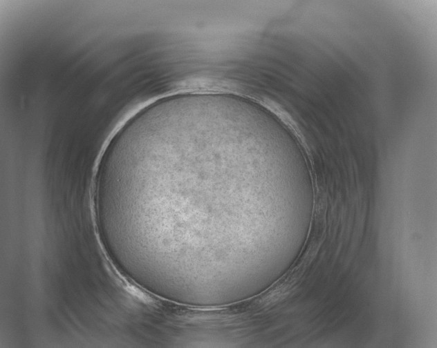 X0000072511486200607290119