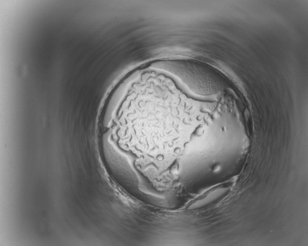 X0000072511488200607290119