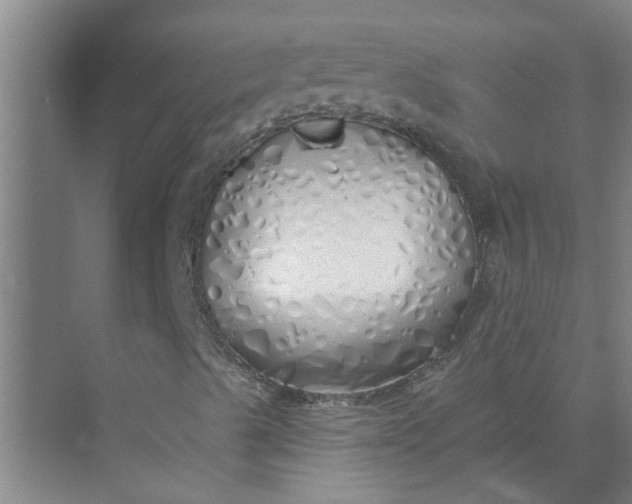 X0000072511489200607290118