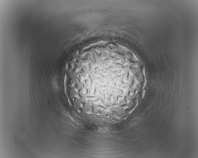 X0000072511490200607290118