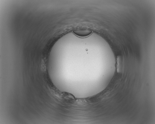 X0000072511491200607290118