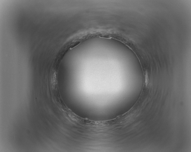 X0000072511492200607290118