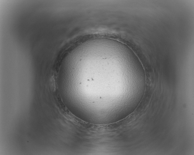 X0000072511493200607290118