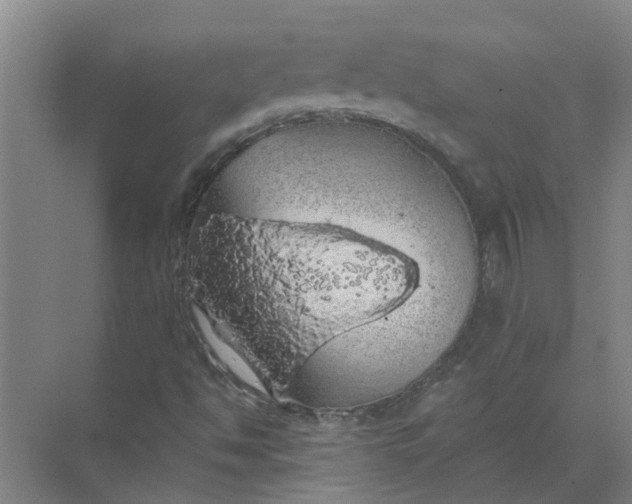 X0000072511494200607290118