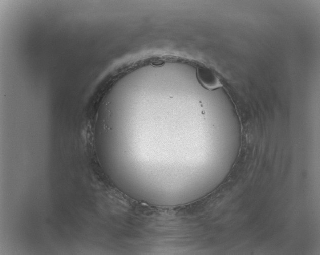 X0000072511495200607290118