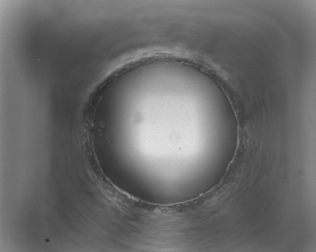 X0000072511496200607290118