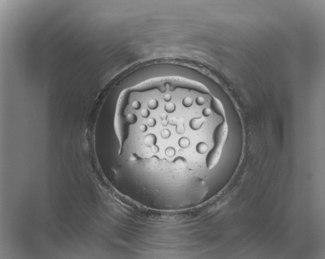 X0000072511497200607290118