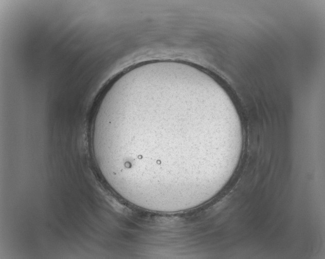 X0000072511498200607290119