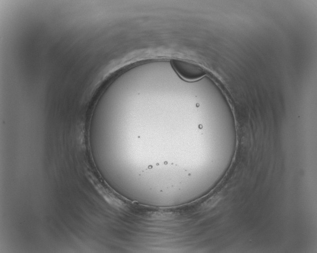 X0000072511499200607290119