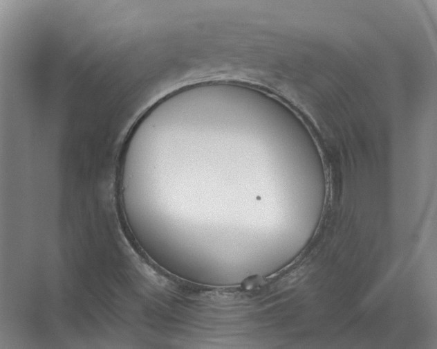 X0000072511500200607290119