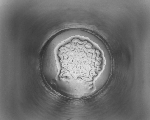 X0000072511501200607290119