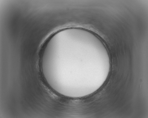 X0000072511502200607290119