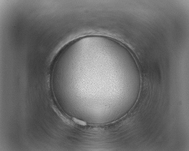 X0000072511503200607290119