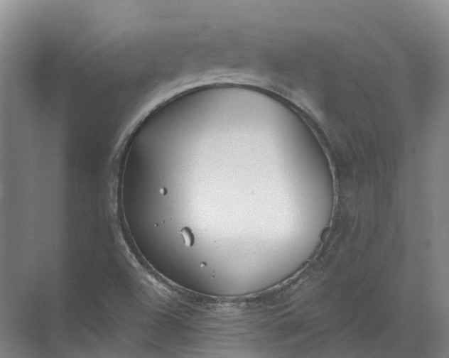 X0000072511504200607290119