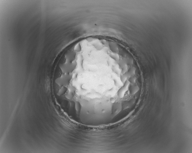 X0000072511505200607290119