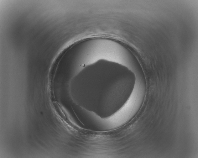 X0000072511506200607290119