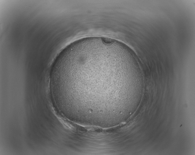 X0000072511507200607290119