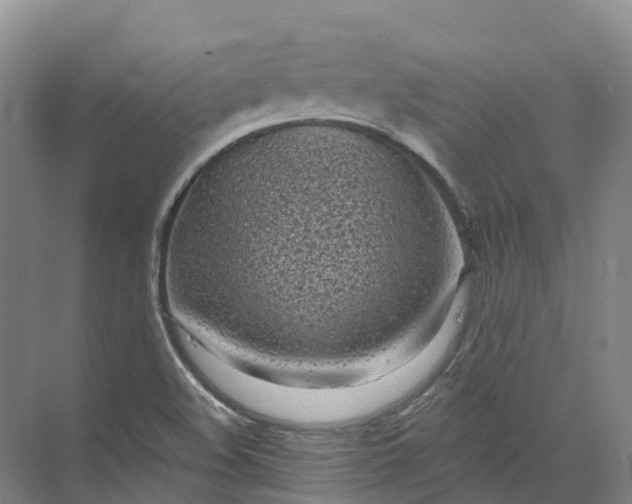 X0000072511508200607290119