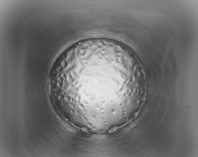 X0000072511509200607290119