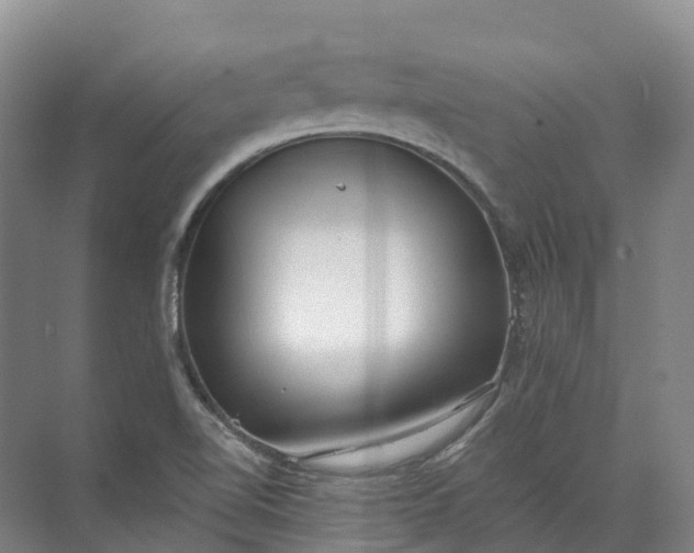 X0000072511510200607290119