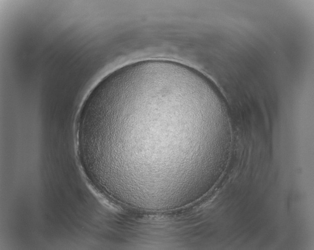 X0000072511511200607290119