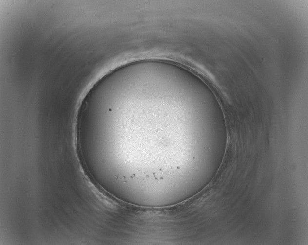 X0000072511512200607290119