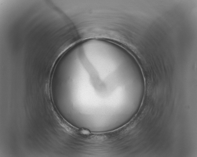 X0000072511513200607290119