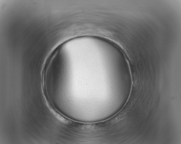 X0000072511515200607290119