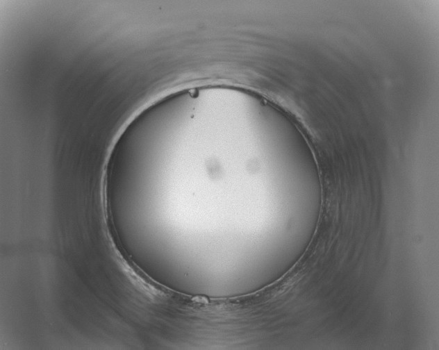 X0000072511516200607290119